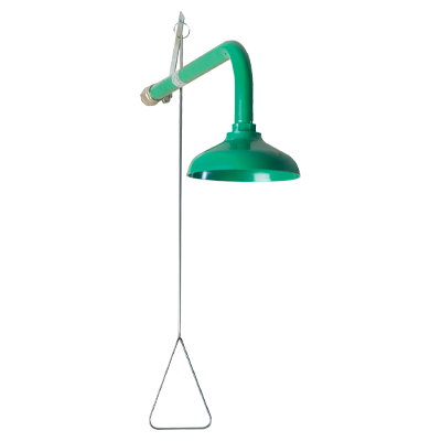 Wall mounted shower